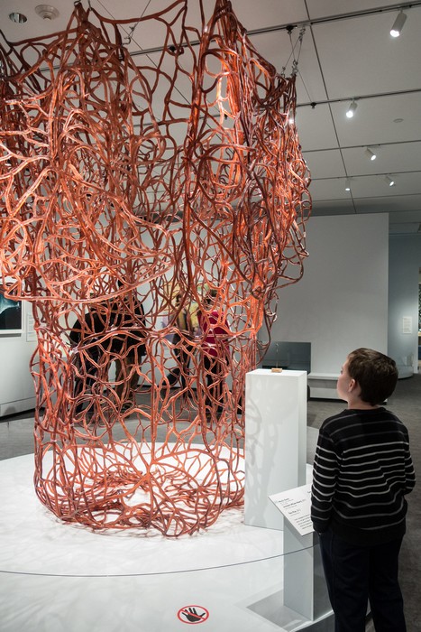 Matthew contemplating the size of a whale's heart.<br />Feb. 14, 2016 - At the Peabody Essex Museum in Salem, Massachusetts.