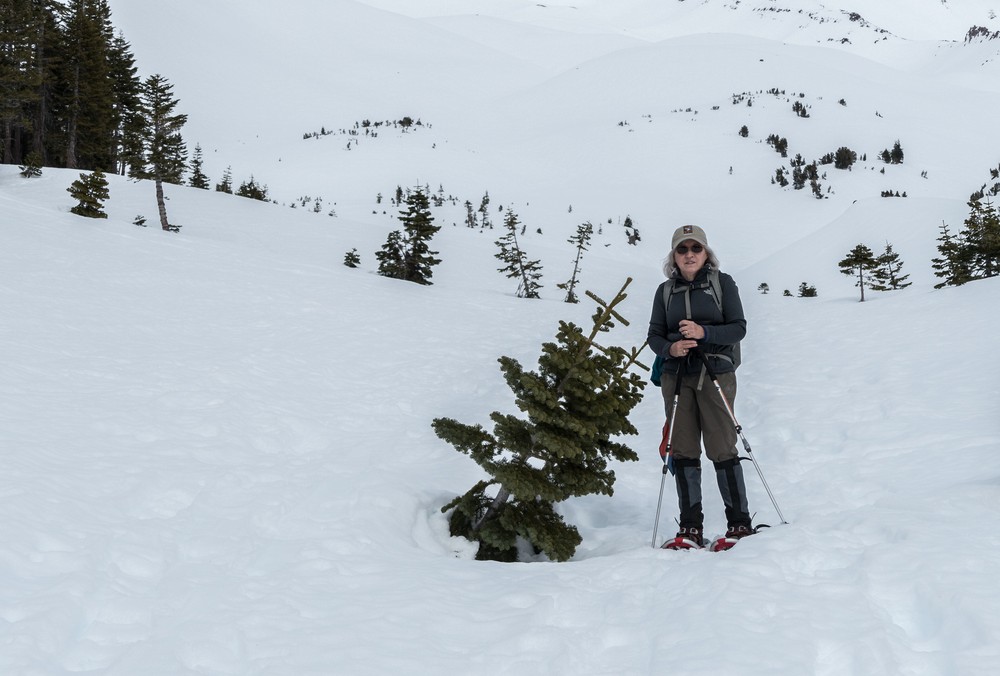Joyce.<br /> Feb. 16, 2016 - Above Bunny Flat on skirt of Mt. Shasta, California.