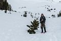 Joyce.<br /> Feb. 16, 2016 - Above Bunny Flat on skirt of Mt. Shasta, California.