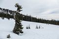 Snowshoeing.<br /> Feb. 16, 2016 - Above Bunny Flat on skirt of Mt. Shasta, California.