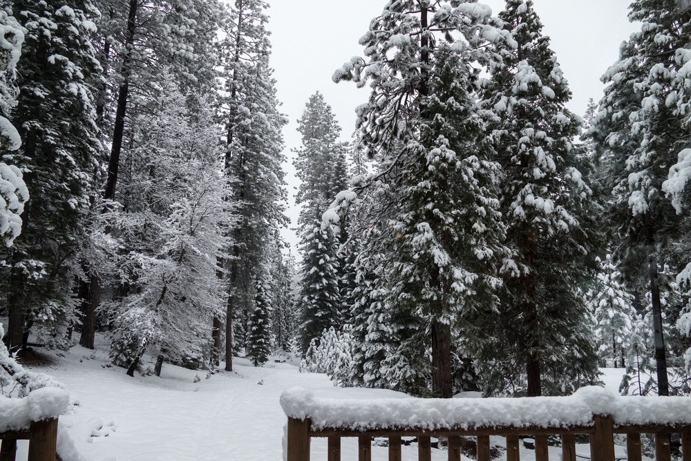 View out the window of Le Shahlet.<br />Feb. 18, 2016 - At Melody and Sati's in McCloud, California.