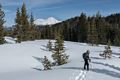 Joyce with Mt. Shasta in back.<br />Feb. 20, 2016 - Castle Lake, Northern California.