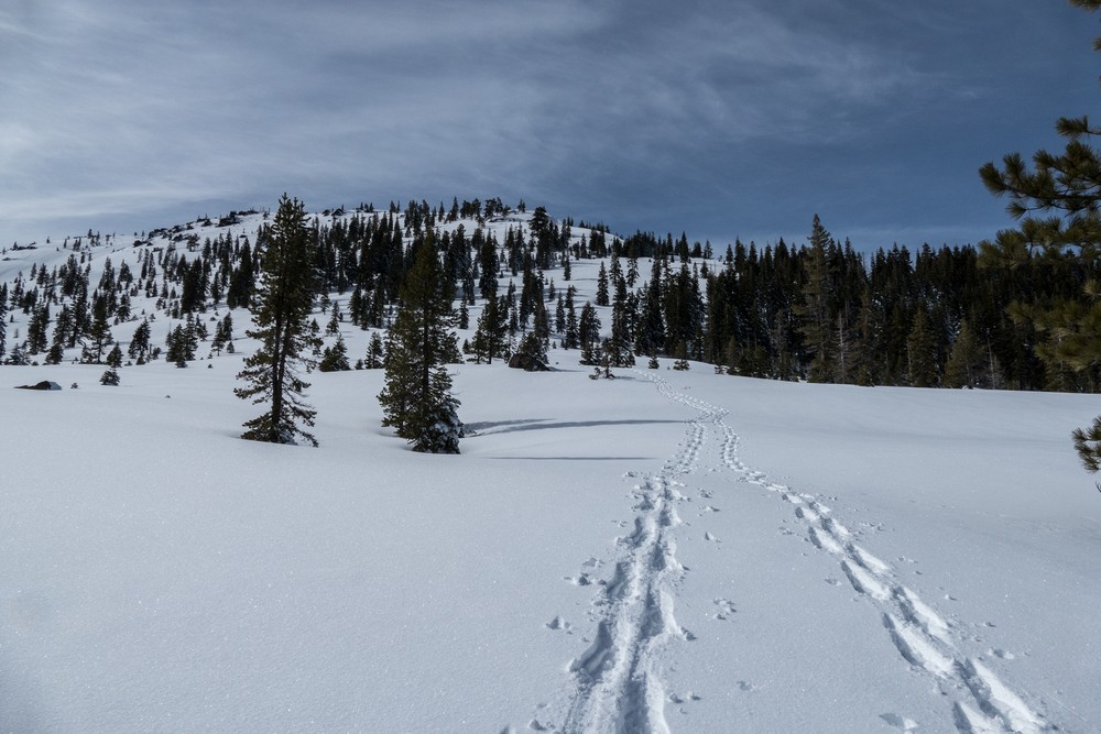 Our snowshoe tracks.<br />Feb. 20, 2016 - Castle Lake, Northern California.