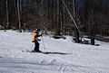 Joyce skiing.<br />Feb. 27, 2016 - Wachusett Mountain Ski Area, Massachusetts