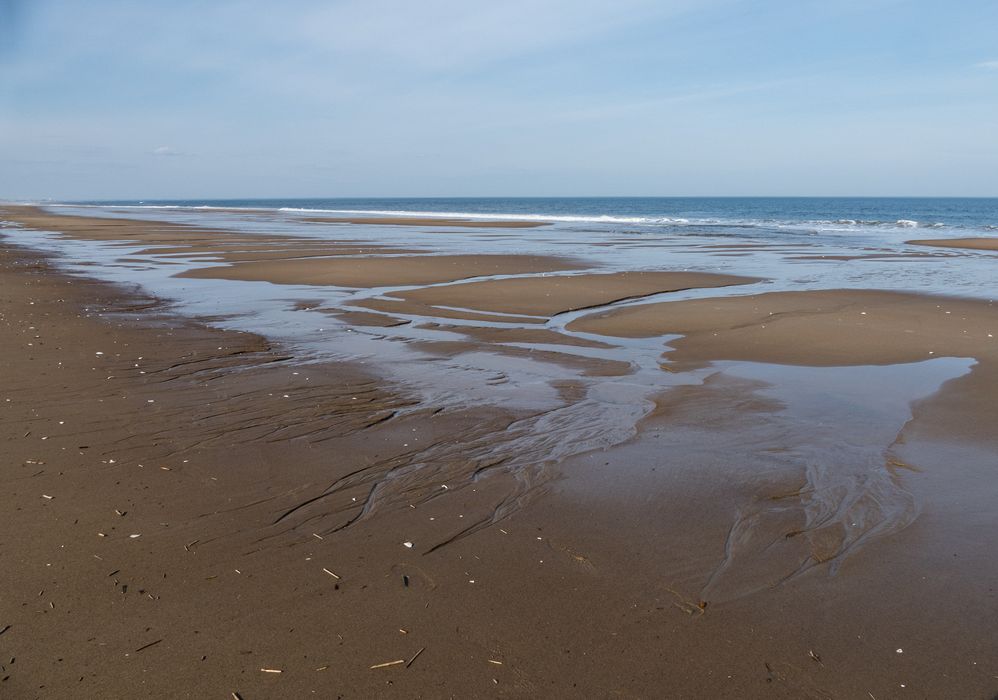 Beach landscape.<br />March 9, 2016 - Parker River National Wildlife Refuge, Plum Island, Massachusetts.