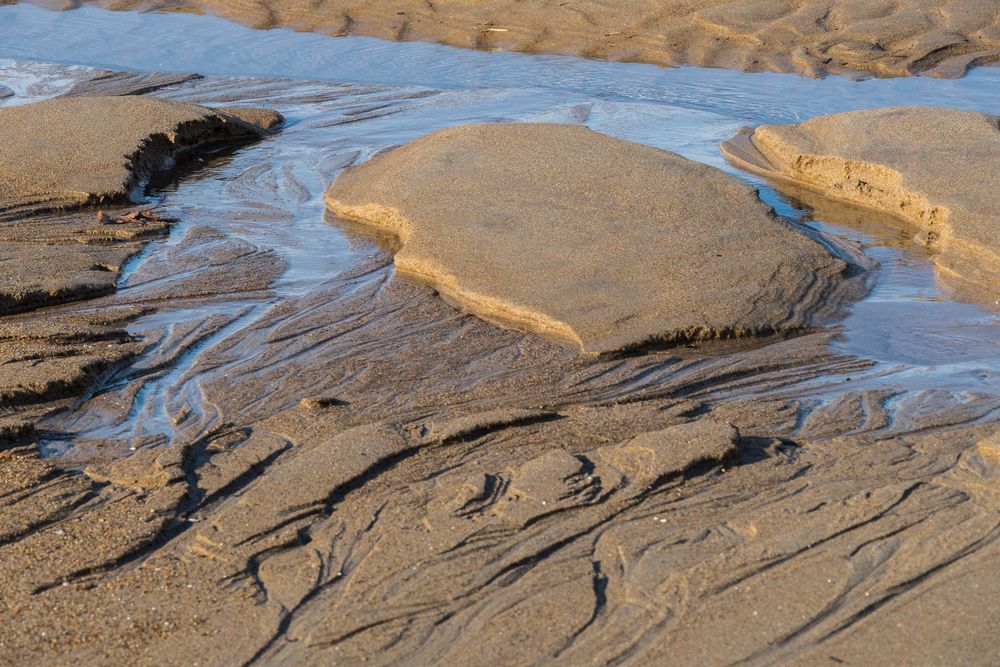 Beach landscape.<br />March 9, 2016 - Parker River National Wildlife Refuge, Plum Island, Massachusetts.