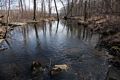 Broad Meadow Brook.<br />Broad Meadow Brook Conservation & Wildlife Sanctuary.<br />March 13, 2016 - Worcester, Massachusetts.