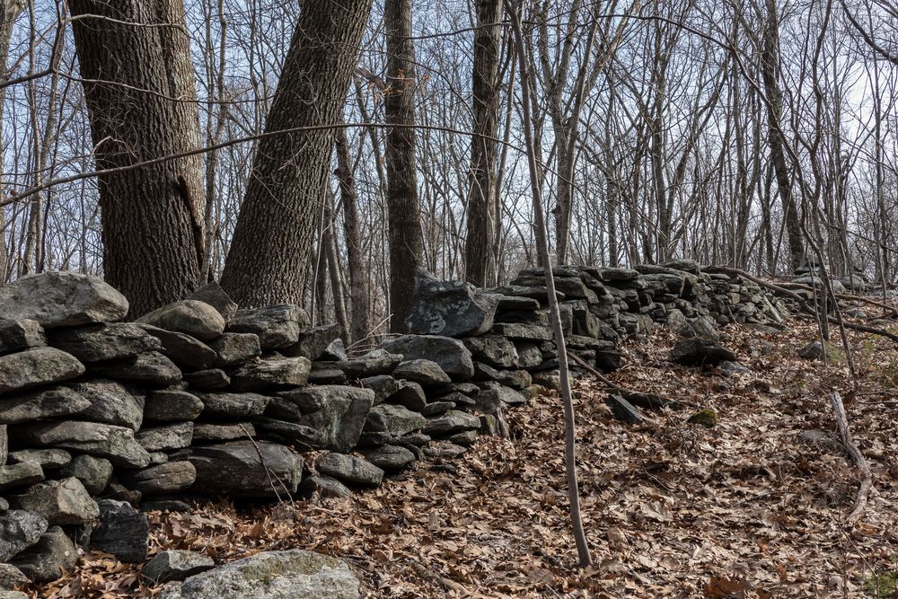 A stone fence.<br />Broad Meadow Brook Conservation & Wildlife Sanctuary.<br />March 13, 2016 - Worcester, Massachusetts.