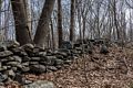 A stone fence.<br />Broad Meadow Brook Conservation & Wildlife Sanctuary.<br />March 13, 2016 - Worcester, Massachusetts.