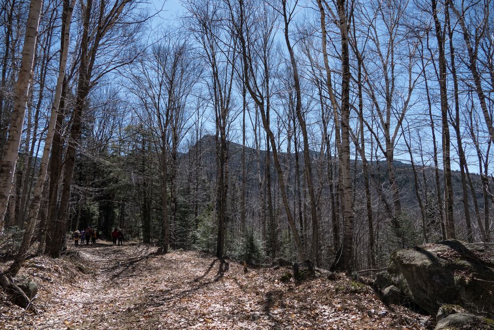 The group on Dry Joe Trail.<br />Hike in the Drakes Brook Trail area.<br />March 19, 2016 - Waterville Valley, New Hampshire.