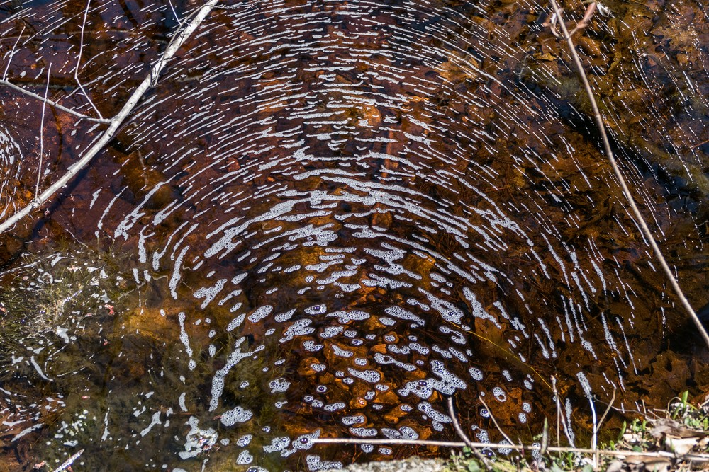 Foam pattern on the stream.<br />A walk with Matthew.<br />April 20, 2016 - Town Forest, Merrimac, Massachusetts.