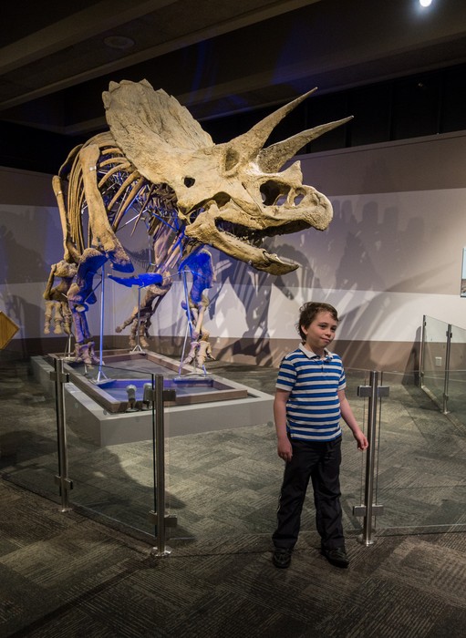 Matthew in front of another Triceratops.<br />April 21, 2016 - At the Museum of Science, Boston, Massachusetts.