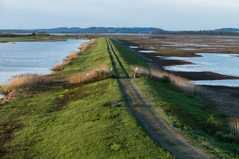 Dike and Bill Forward Pool (left).<br />View south from Hellcat observation tower.<br />May 14, 2016 - Parker River National Wildlife Refuge, Plum Island, Massachusetts.