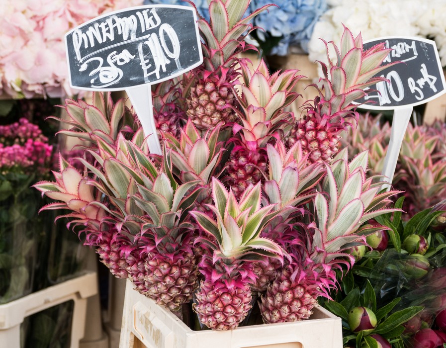 Not only flowers but ... (pink pineapple).<br />May 22, 2016 - Columbia Road Flower Market, London, UK.