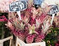 Not only flowers but ... (pink pineapple).<br />May 22, 2016 - Columbia Road Flower Market, London, UK.