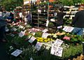 May 22, 2016 - Columbia Road Flower Market, London, UK.
