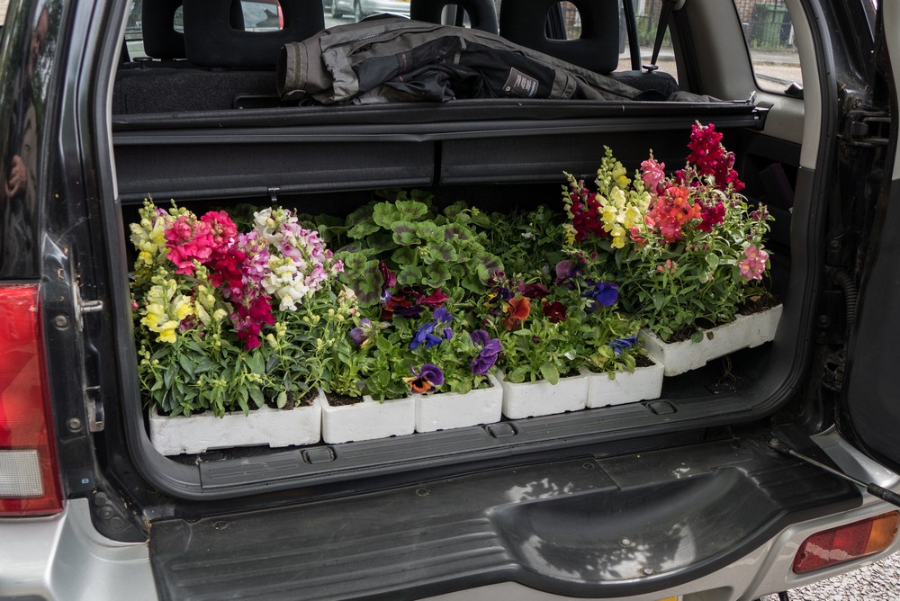 Flowers in Rob and Stephanie's car.<br />St Peter’s Bethnal Green church.<br />May 22, 2016 - London, England.