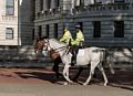 Police on horses.<br />May 24, 2016 - London, UK.