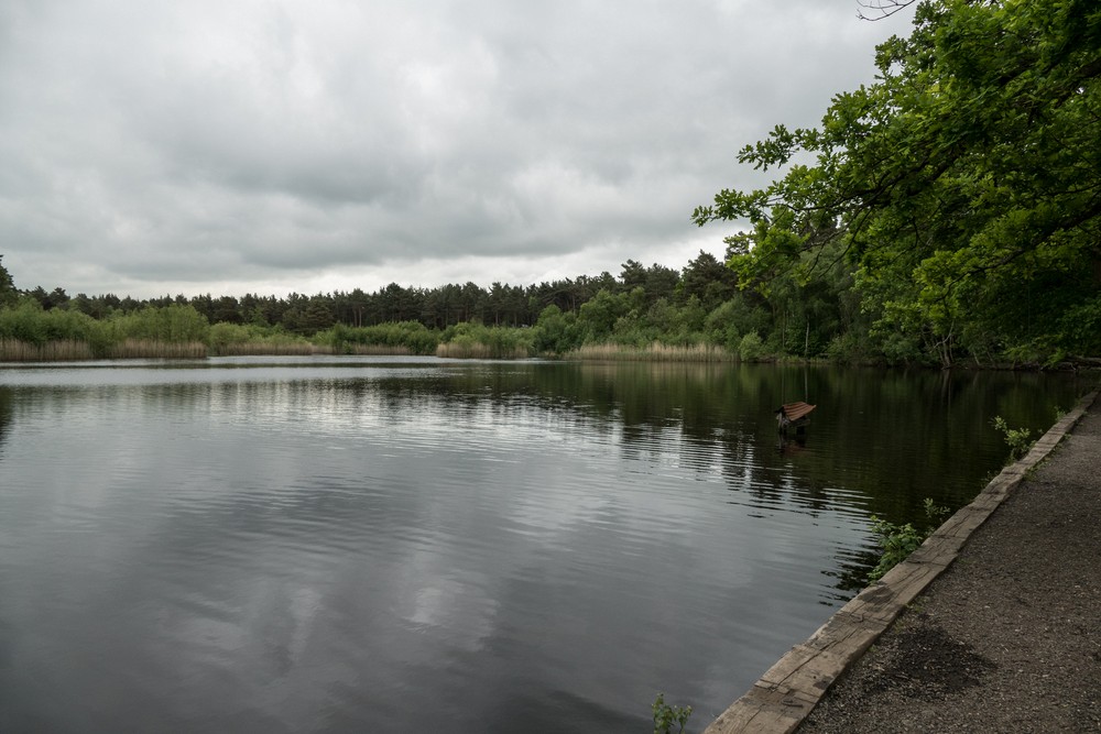 Black Pond.<br />May 25, 2016 - Esher Common, Surrey, England.