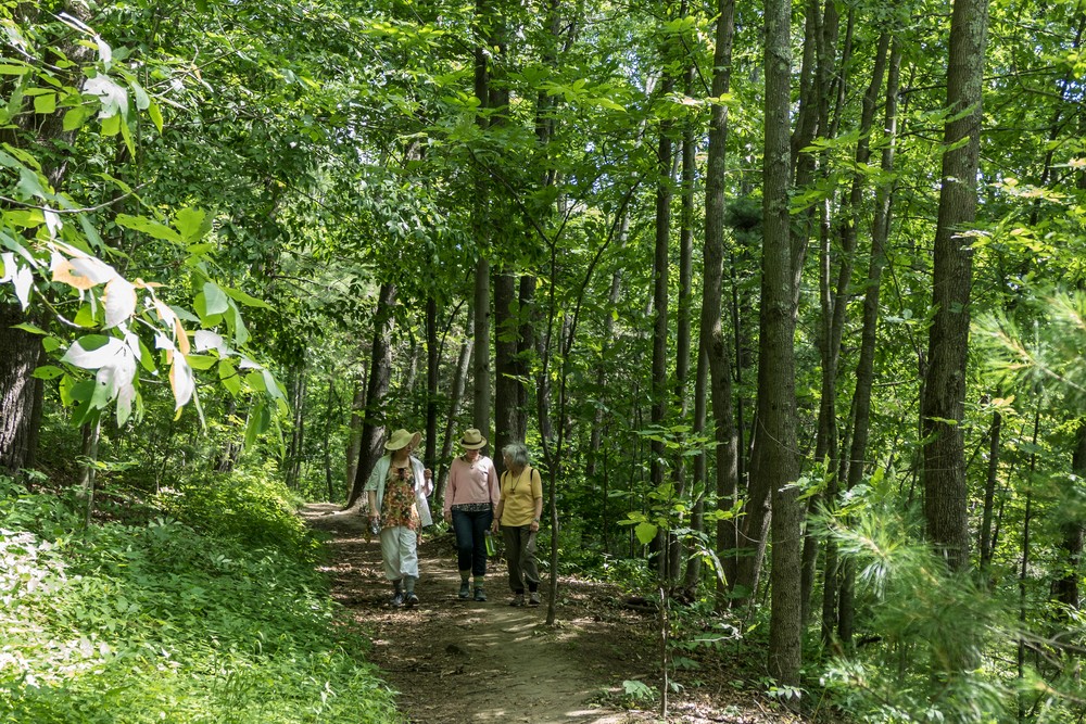Nancy, Deb, and Joyce.<br />Powwow River Conservation Area.<br />July 3, 2016 - Amesbury, Massachusetts.