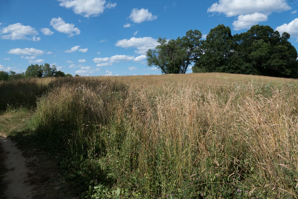 Powwow River Conservation Area.<br />July 3, 2016 - Amesbury, Massachusetts.