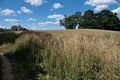 Powwow River Conservation Area.<br />July 3, 2016 - Amesbury, Massachusetts.