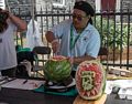 Lowell Folk Festival.<br />July 30, 2016 - Lowell, Massachusetts.