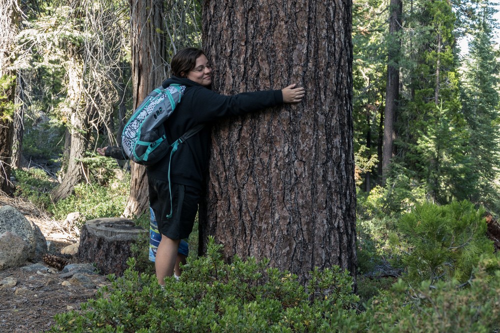 Miranda, the tree hugger.<br />July 19, 2016 - Cliff Lake, Siskiyou County, California.