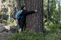 Miranda, the tree hugger.<br />July 19, 2016 - Cliff Lake, Siskiyou County, California.