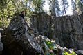 Miranda observing pool below Upper Falls.<br />July 20, 2016 - Along the shore of the McCloud River, California.