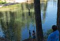 Matthew on a rope swing.<br />July 21, 2016 - McCloud River above the falls, Siskiyou County, California.