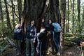 Joyce, Melody, Matthew, and Miranda.<br />Lady Bird Johnson Grove.<br />July 23, 2016 - Redwood National and State Park, California.