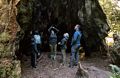 Matthew, Miranda, Melody, Joyce, and Sati admiring a huge burned out redwood (still alive and well).<br />Lady Bird Johnson Grove.<br />July 23, 2016 - Redwood National and State Park, California.