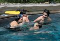 Miranda, Marks, Matthew, and Gujn.<br />Partial family get-together at the pool.<br />Aug. 11, 2016 - At Carl and Holly's in Mendon, Massachusetts.