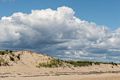 A walk with Joyce south of lot #3.<br />Sept. 2, 2016 - Parker River National Wildlife Refuge, Plum Island, Massachusetts.