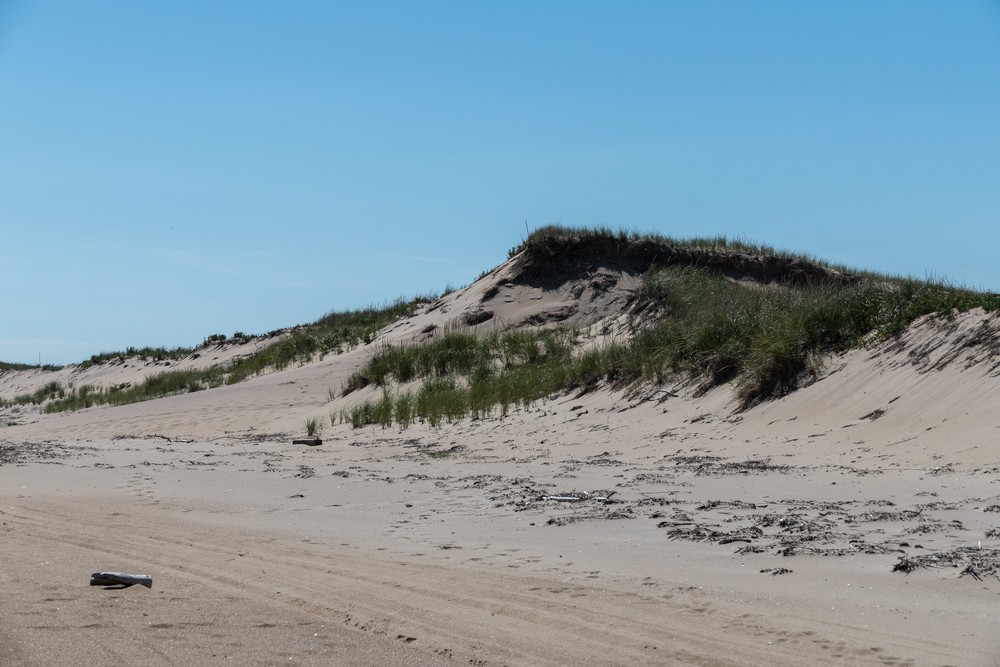 A walk with Joyce south of lot #3.<br />Sept. 2, 2016 - Parker River National Wildlife Refuge, Plum Island, Massachusetts.