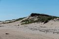 A walk with Joyce south of lot #3.<br />Sept. 2, 2016 - Parker River National Wildlife Refuge, Plum Island, Massachusetts.