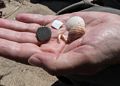A walk with Joyce south of lot #3.<br />Sept. 2, 2016 - Parker River National Wildlife Refuge, Plum Island, Massachusetts.