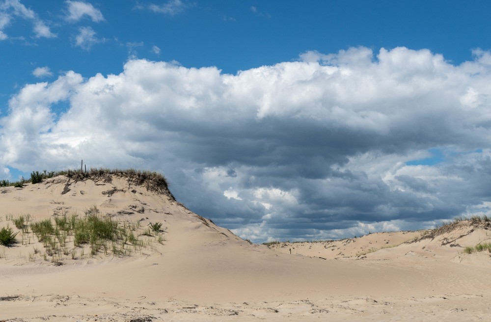 A walk with Joyce south of lot #3.<br />Sept. 2, 2016 - Parker River National Wildlife Refuge, Plum Island, Massachusetts.