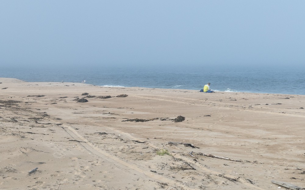 Fog near and far.<br />Sept. 8, 2016 - Parker River National Wildlife Refuge, Plum Island, Massachusetts.