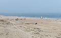 Fog near and far.<br />Sept. 8, 2016 - Parker River National Wildlife Refuge, Plum Island, Massachusetts.