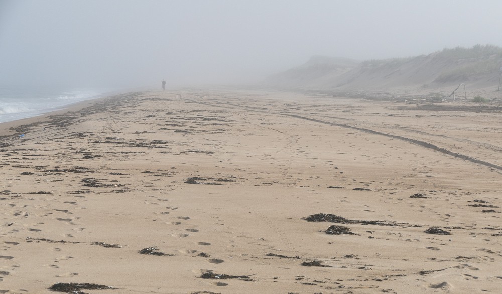 Beach, dunes, and walker in fog.<br />Sept. 8, 2016 - Parker River National Wildlife Refuge, Plum Island, Massachusetts.