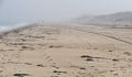 Beach, dunes, and walker in fog.<br />Sept. 8, 2016 - Parker River National Wildlife Refuge, Plum Island, Massachusetts.