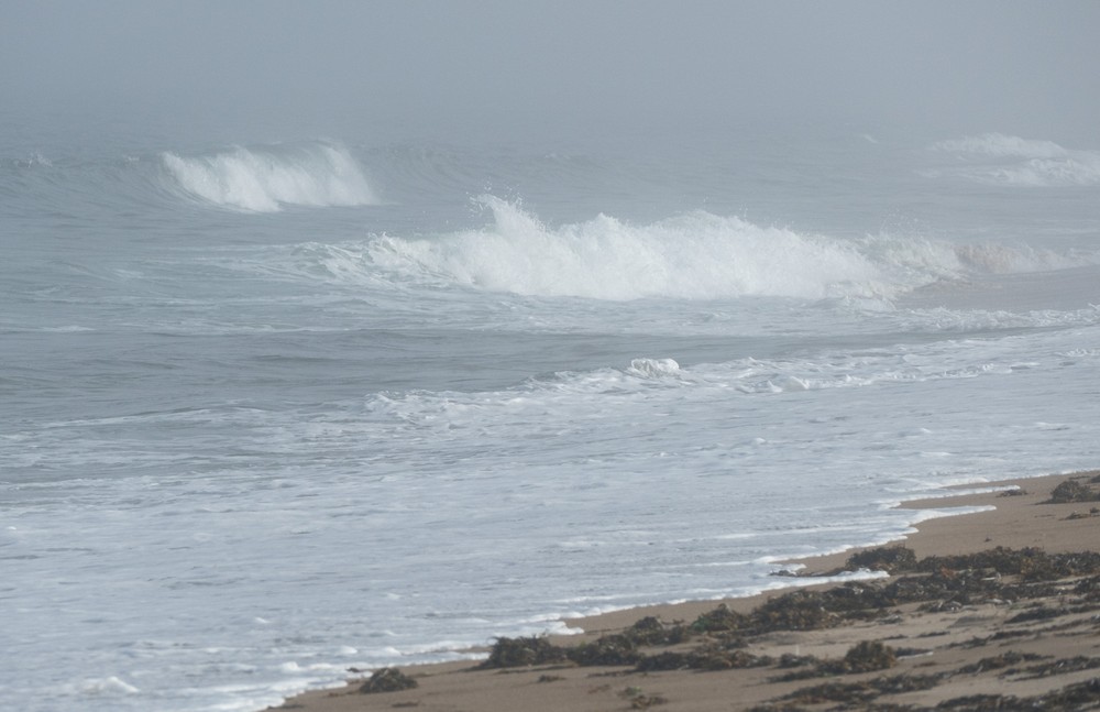 Remnants of hurricane Hermine.<br />Sept. 8, 2016 - Parker River National Wildlife Refuge, Plum Island, Massachusetts.