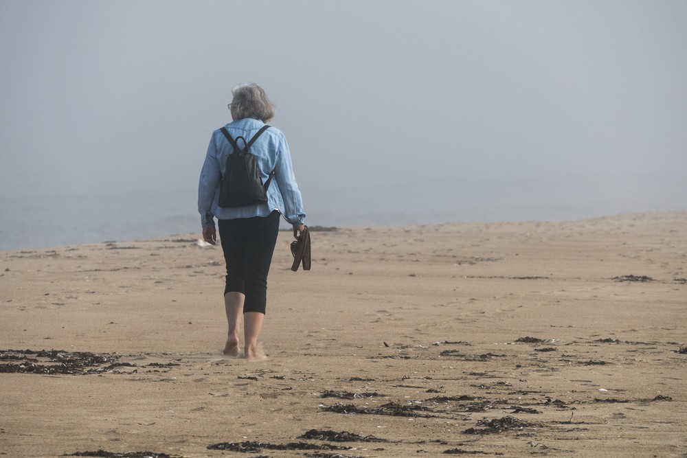 Joyce.<br />Sept. 8, 2016 - Parker River National Wildlife Refuge, Plum Island, Massachusetts.