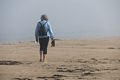 Joyce.<br />Sept. 8, 2016 - Parker River National Wildlife Refuge, Plum Island, Massachusetts.
