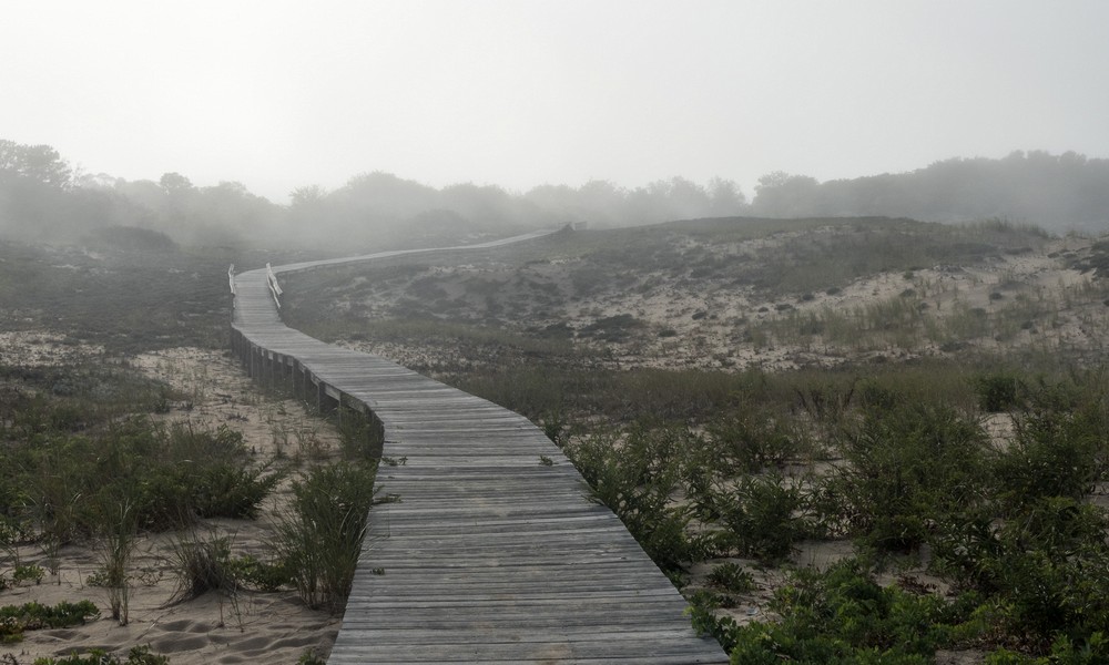 Boardwalk to lot 3 in fog.<br />Sept. 8, 2016 - Parker River National Wildlife Refuge, Plum Island, Massachusetts.