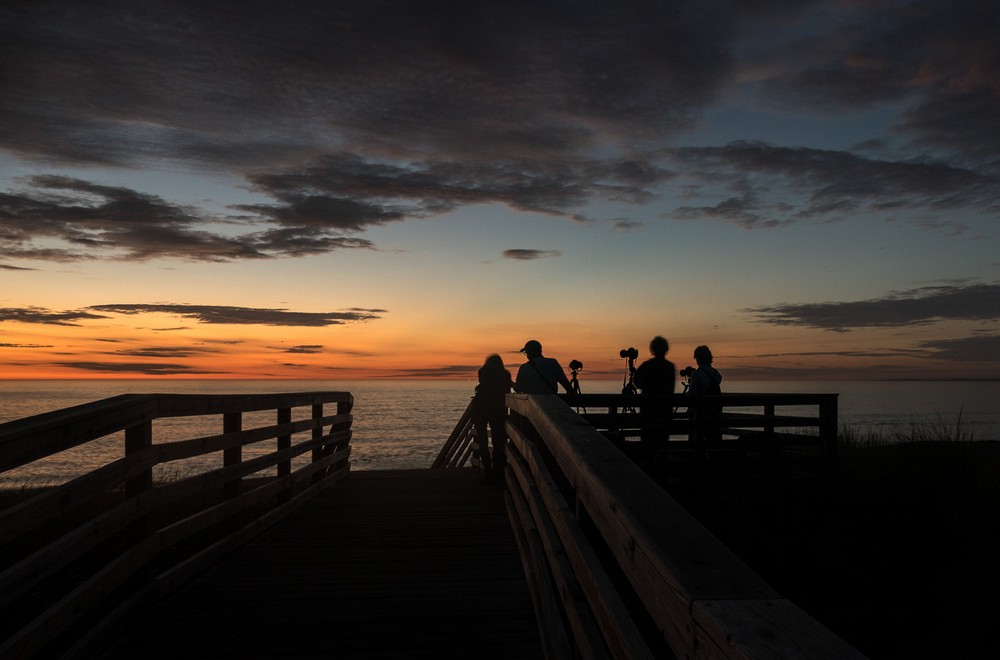 PRNWR Photo Soc. shoot.<br />Sept. 10, 2016 - Parker River National Wildlife Refuge, Plum Island, Massachusetts.