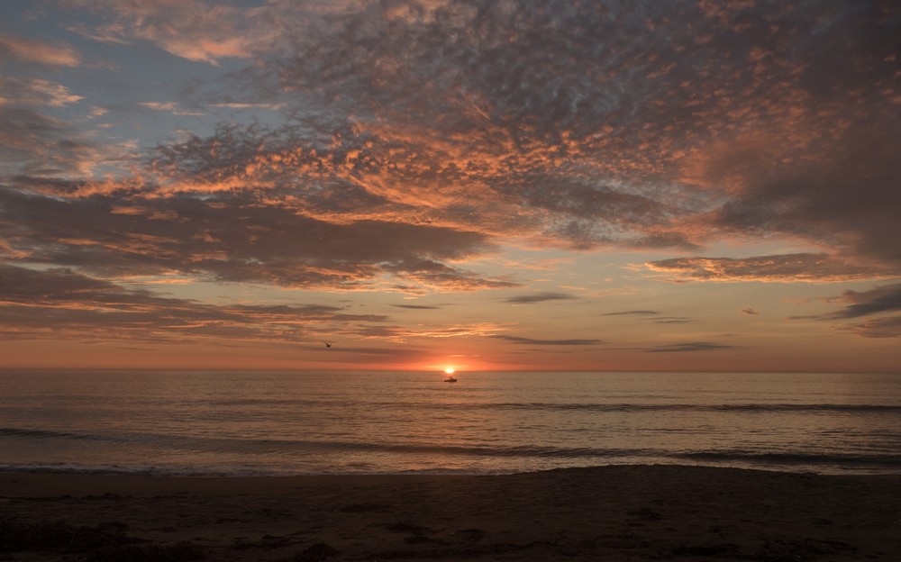 PRNWR Photo Soc. shoot.<br />Sept. 10, 2016 - Parker River National Wildlife Refuge, Plum Island, Massachusetts.