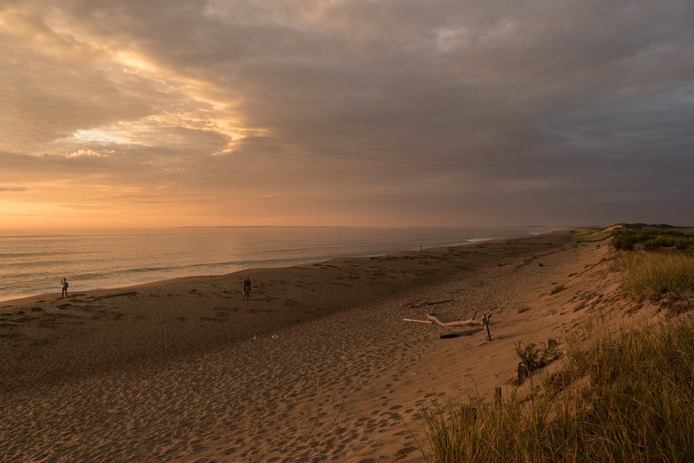 PRNWR Photo Soc. shoot.<br />Sept. 10, 2016 - Parker River National Wildlife Refuge, Plum Island, Massachusetts.